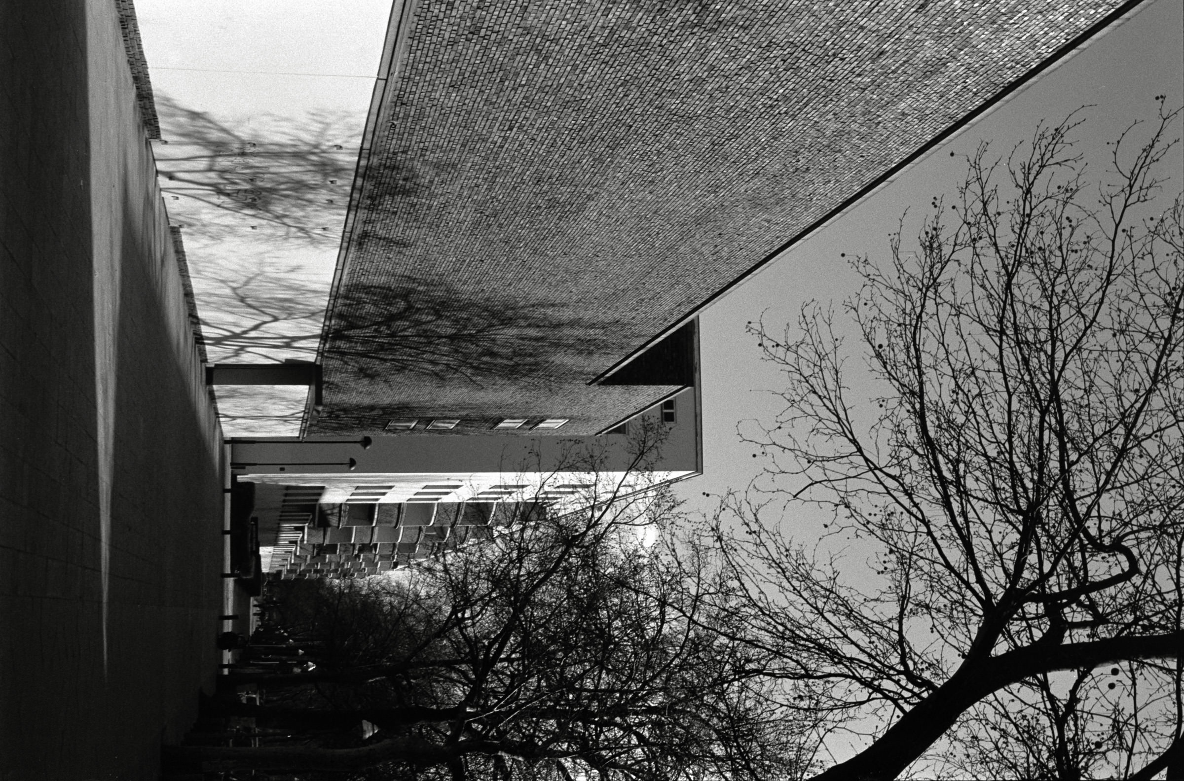 AHP F1993 03 006 sc240902 img11 NLP